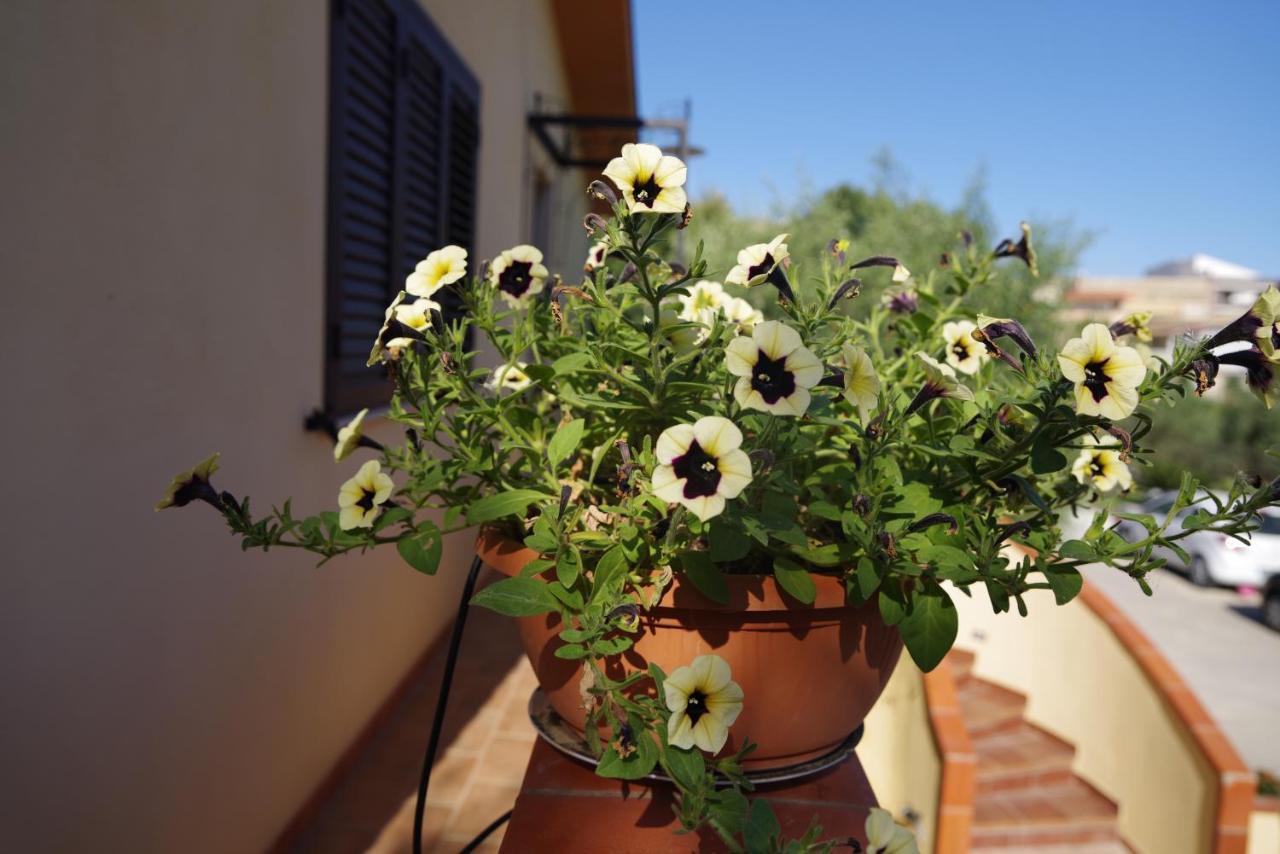 Bed and Breakfast Balconcino Sugli Ulivi Noto Exteriér fotografie